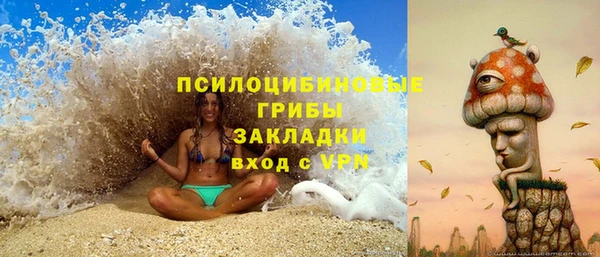 скорость Бородино